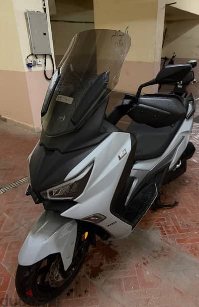 Sym joymax 300 cc 2025 dolphin بدون اي خربوش سكرينة بالكامل كالجديد