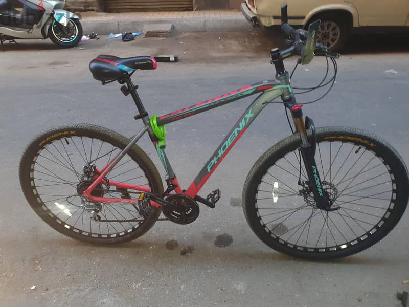 Phoenix Bicycle 1