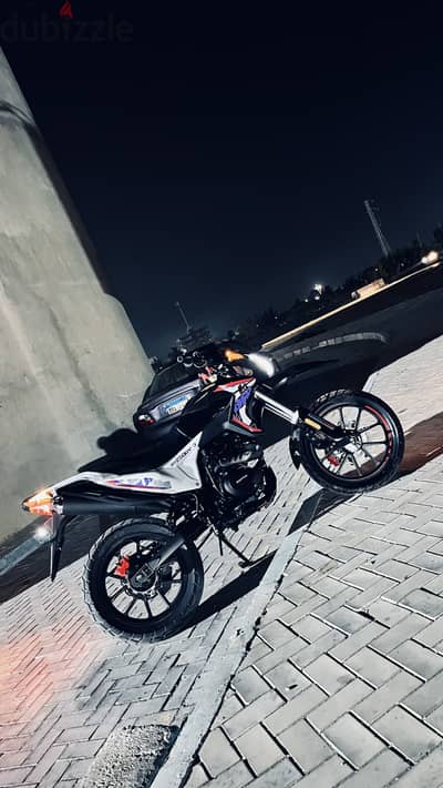 دايو تريلا ٢٠٢٦