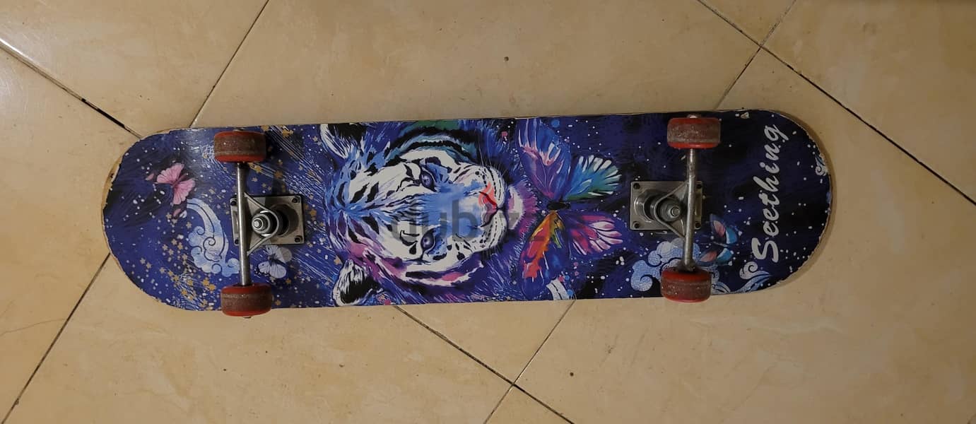 skateboard 1