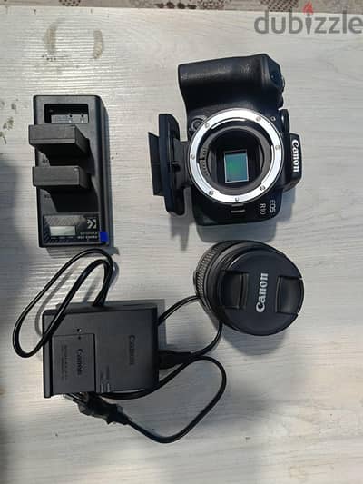 Canon r10