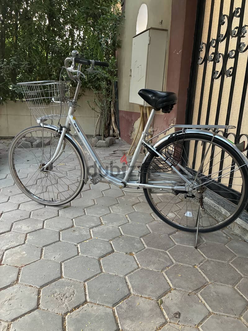 City bike 1