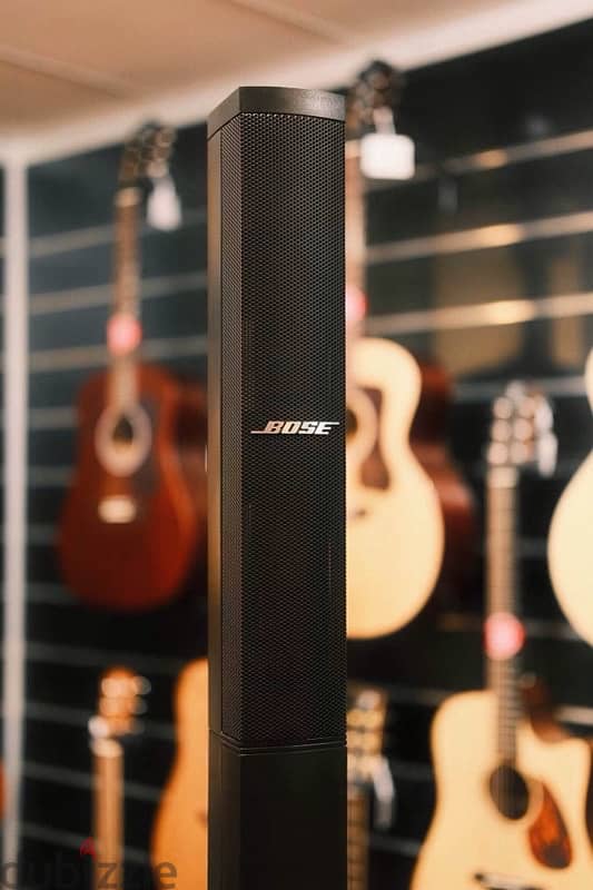 Bose l1 compact 1