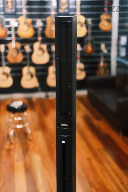 Bose l1 compact 2