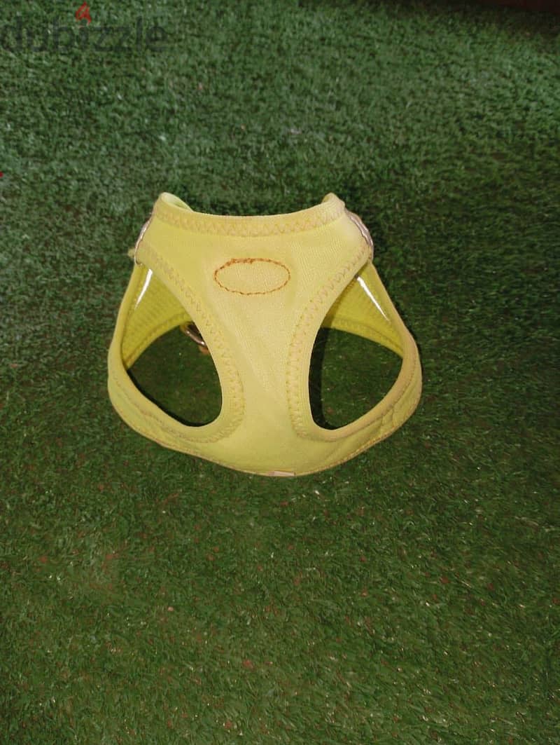 for dogs 2