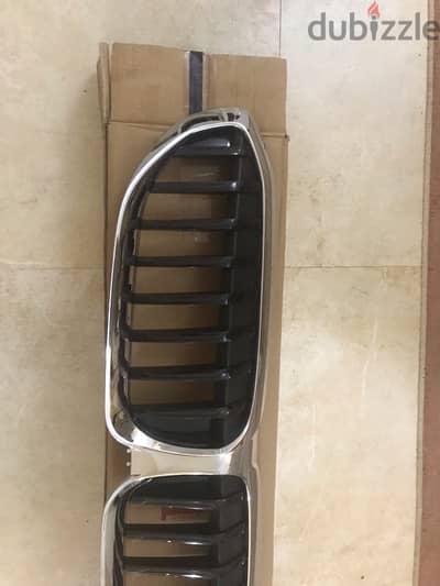 bmw grille