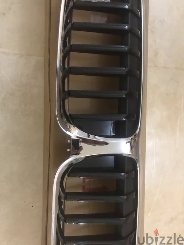 bmw grille 1