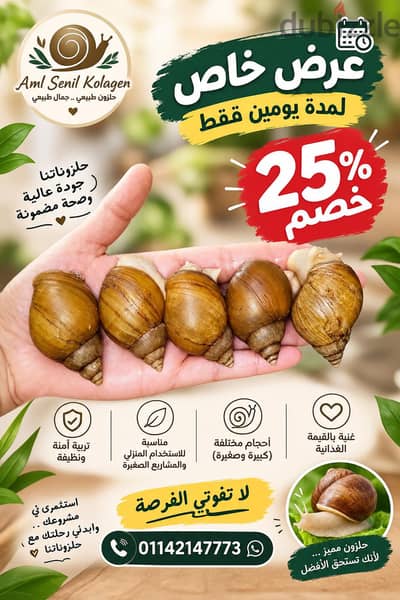 عروض وخصم 25٪