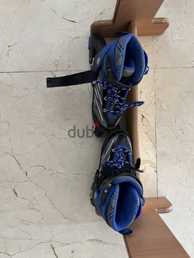 Roller Skate