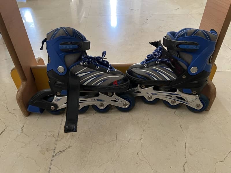 Roller Skate 1