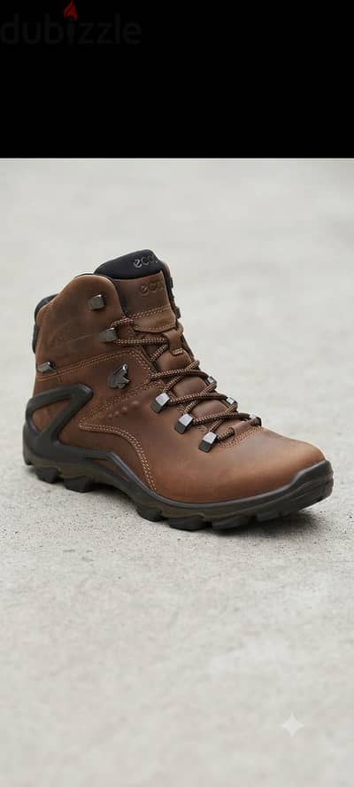 للبيع: حذاء ECCO TERRA EVO GORE-TEX أصلي