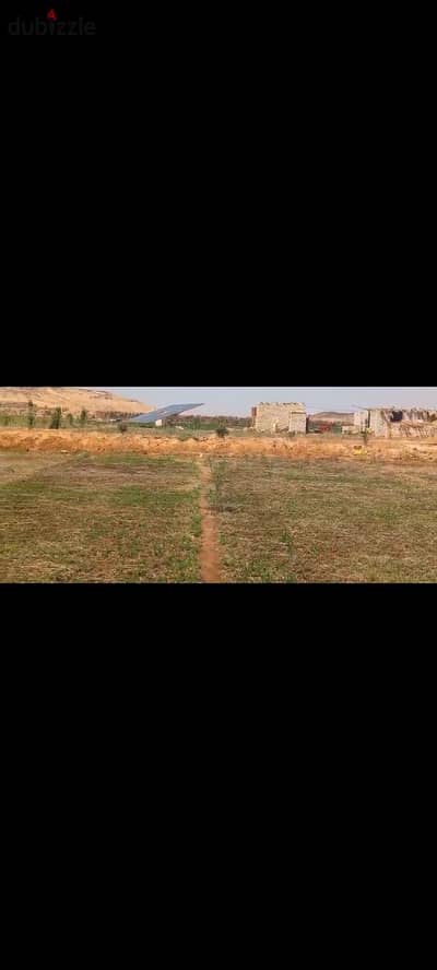 Agricultural land for sale in the New Valley Oasis, a 7-acre productive farm.