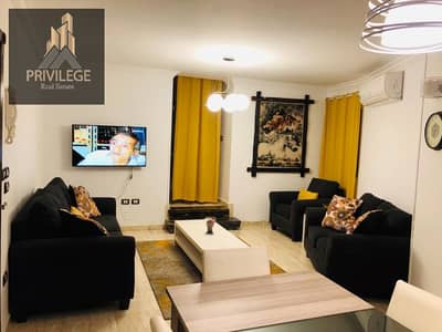 Furnished apartment for rent in Wireless Division, New Maadi