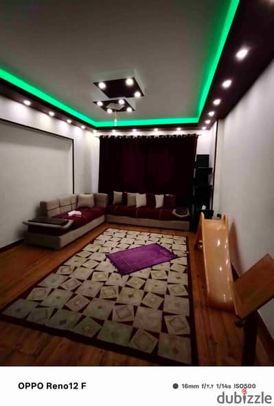 Furnished apartment for rent in New Maadi near Algeria Street