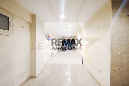 For Rent | Saba Pasha - Steps from Abu Qir Street - 65 m²