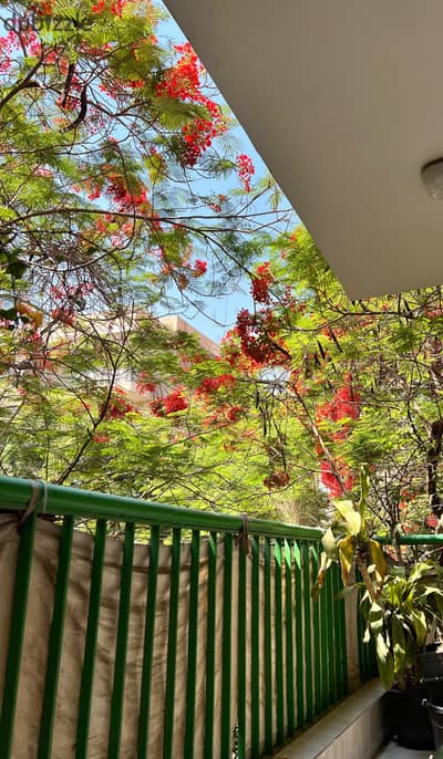 Furnished apartment for rent in Degla, Maadi, consisting of two bedrooms, a reception area, a bathroom, and a kitchen, on the first floor above ground, in a quiet and upscale location.