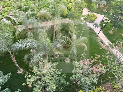 apartment 100m for sale in B15 ready to move garden view - madinaty apartment 100m for sale in B15 ready to move garden view - madinaty