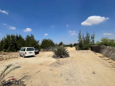Kilometre 130, Alexandria–Wadi El Natron Road, Behera Governorate.