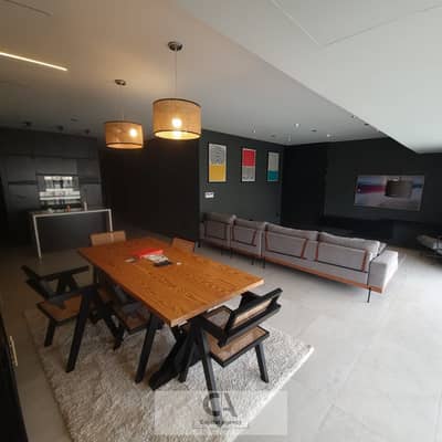 Smart Home 3-Bedroom Apartment  in Lake View