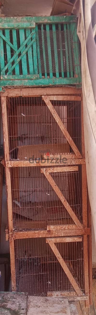 منير سلك محمل  ٣ عيون ومنير عين سلك ضد الفئران