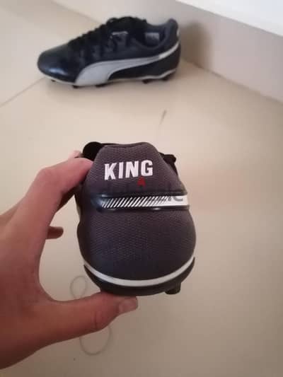 puma kings