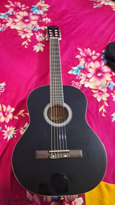 guitar and stings instruments