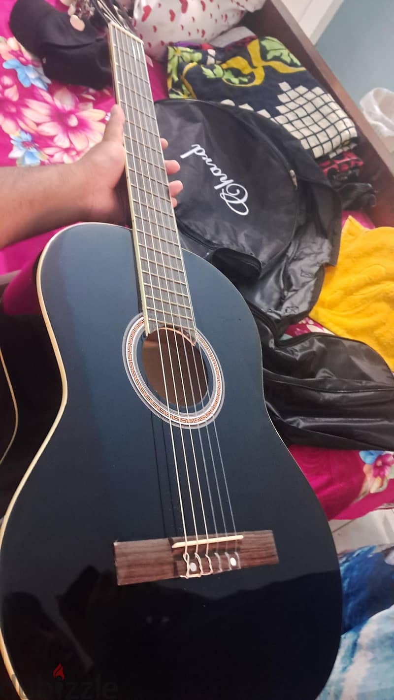 guitar and stings instruments 1