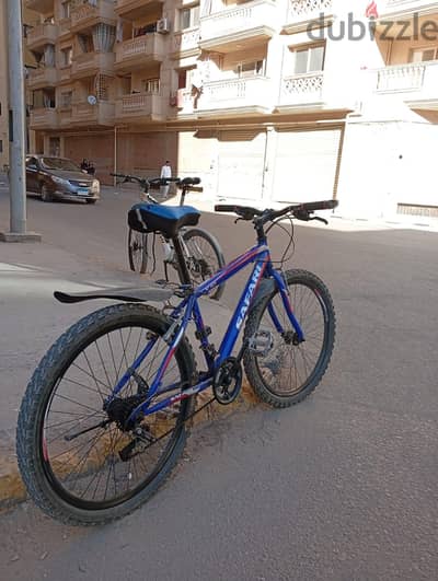 اسكندريه معموره البلد