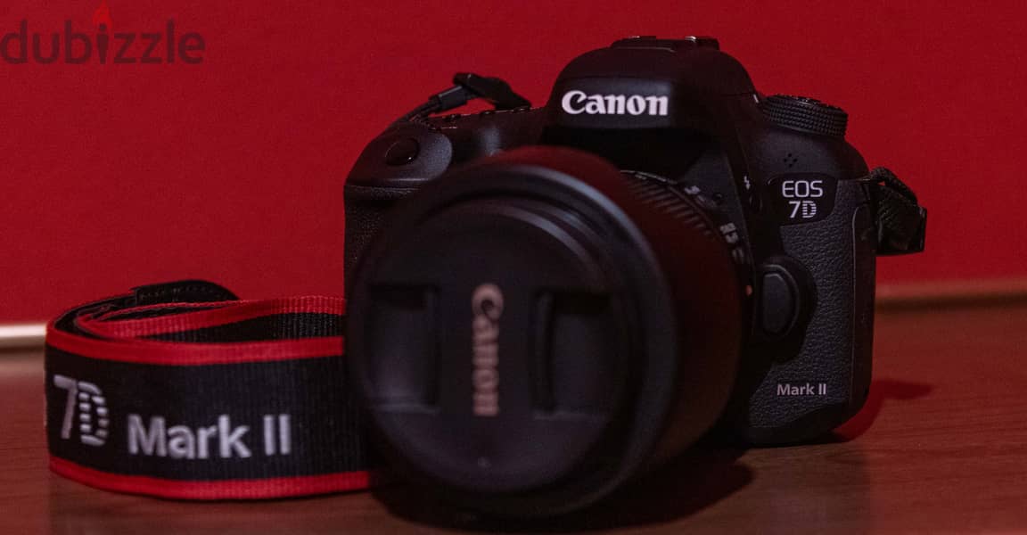Canon 7D Mark II 11