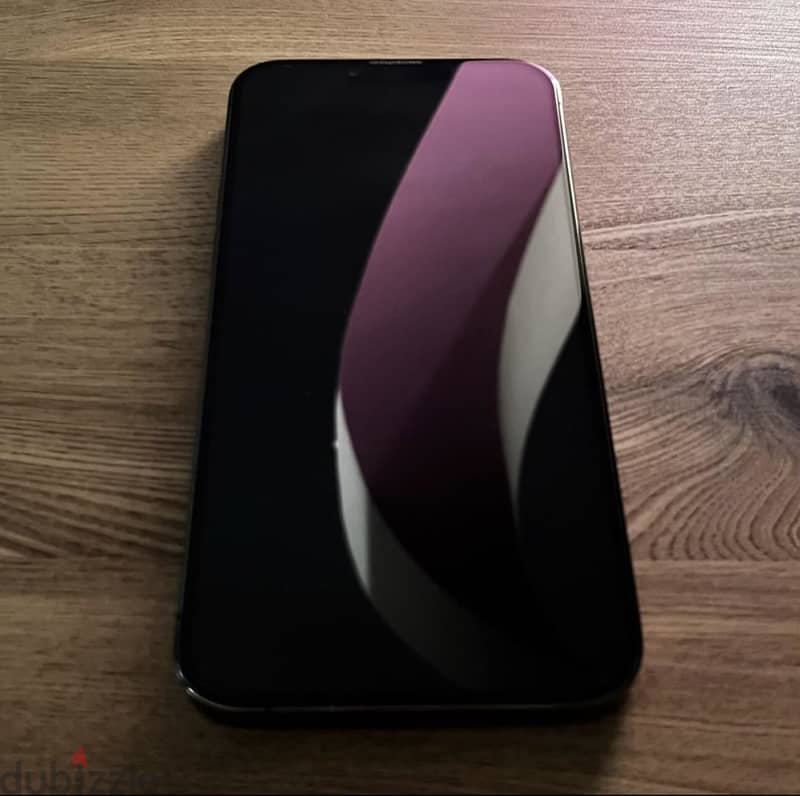 Apple - iPhone 13 Pro Max 1