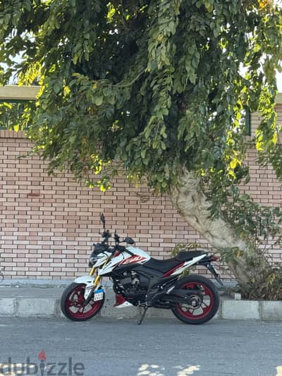Haojin Evo rs