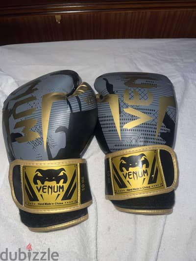 Gloves kickboxing