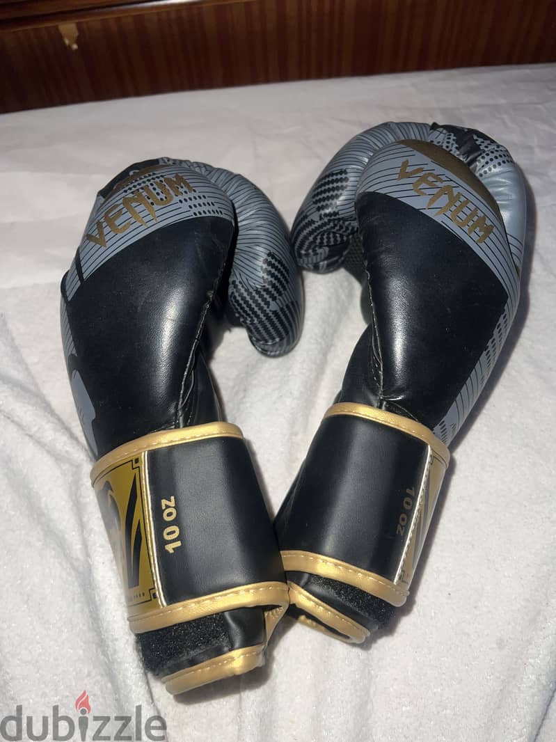 Gloves kickboxing 1