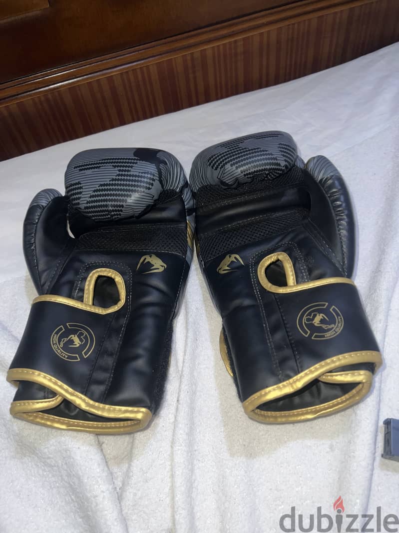 Gloves kickboxing 2