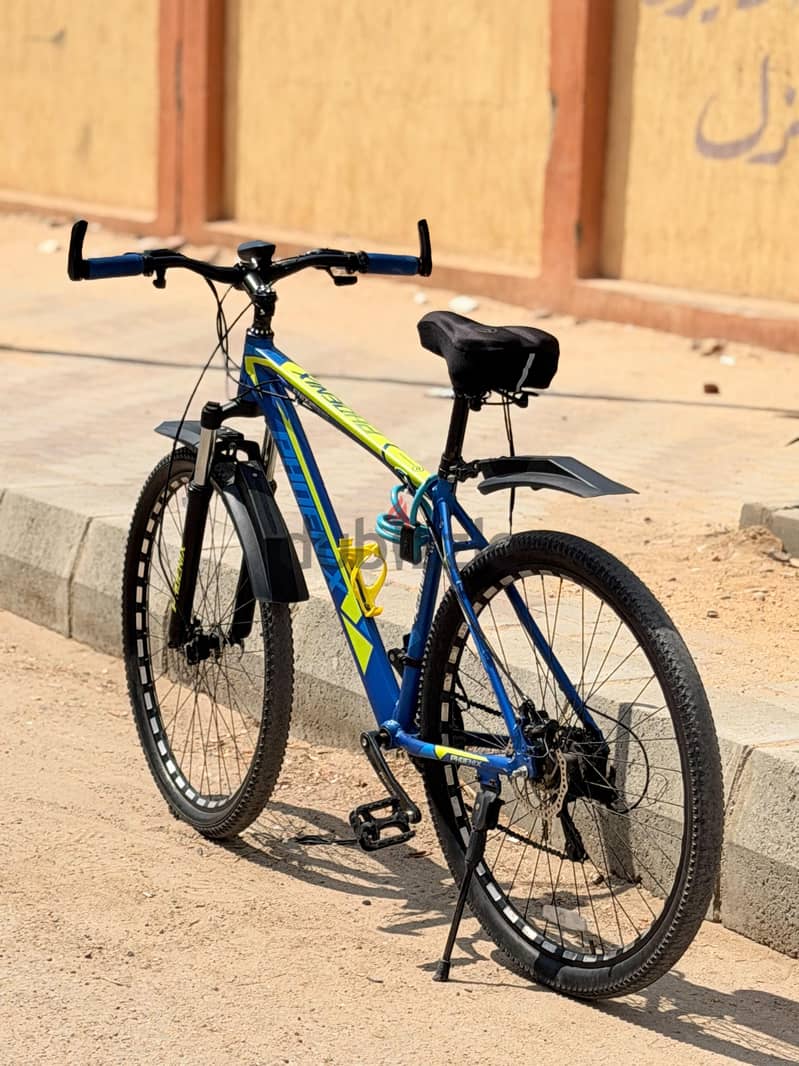 phoenix 2905 hd 1