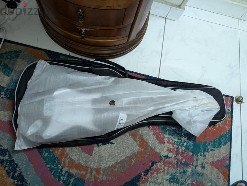 Cort G100 2