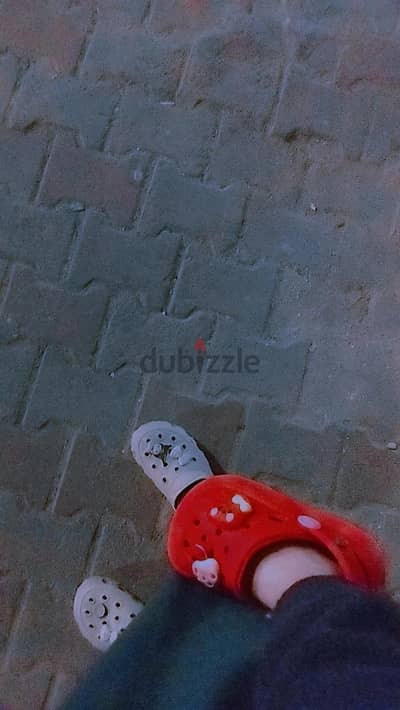 فستاتين. خروجي
