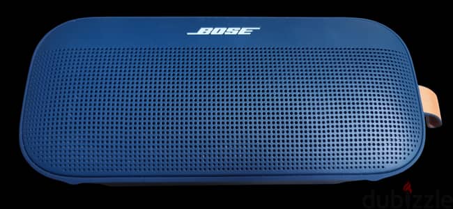 Buse speaker