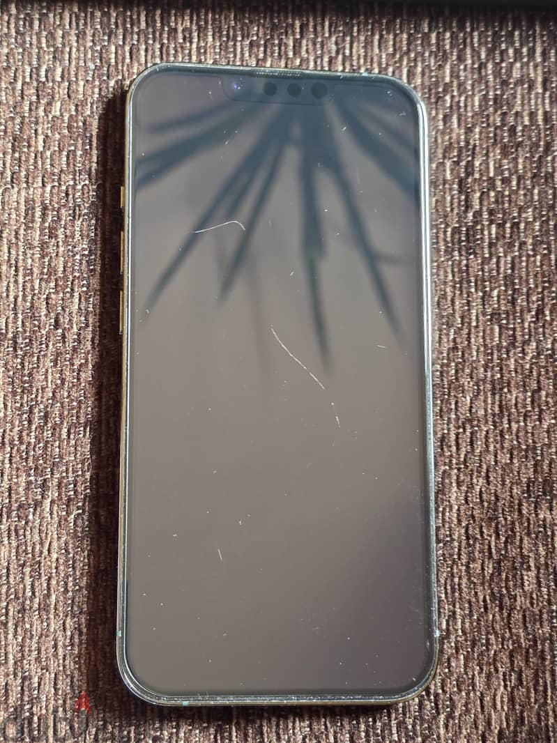 Apple - iPhone 13 Pro 1
