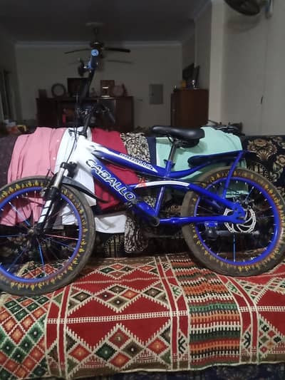 mountain bike