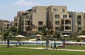 Apartment for rent in palm parks - palm hills