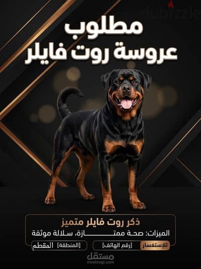للزواج ولد روت وايلر