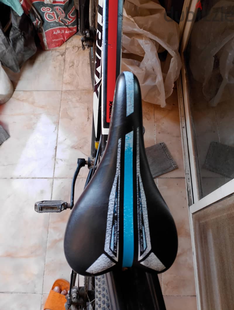 Trinx M136 3