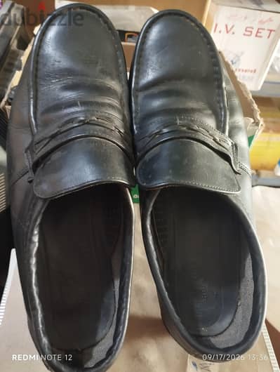 حزمة ريد وينج أمريكي Red Wing
