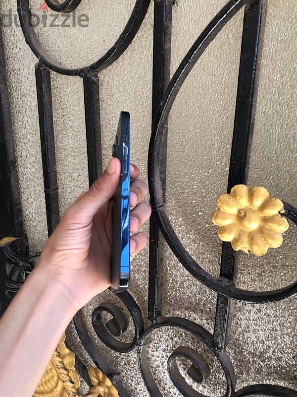 iPhone 12 Pro Max 1