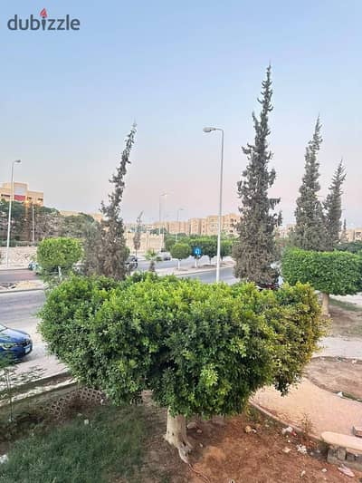 Apartment for rent in the 13th District (Youth Housing), Sheikh Zayed; first floor with a balcony.