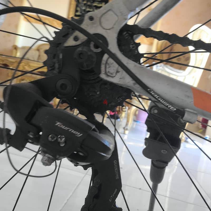 trinx free 1.4 2