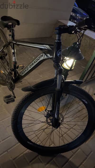 Bike Road dragon