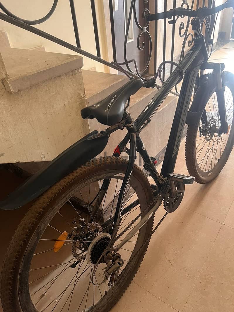 Bike Road dragon 1
