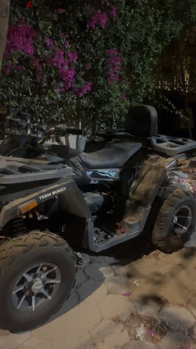 Term buggy